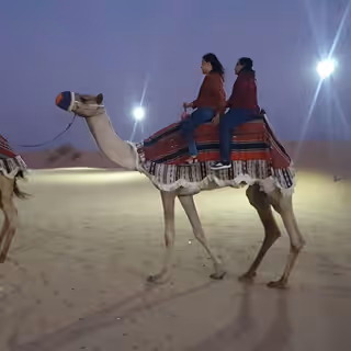 Real World Learnng Initiative| Dubai