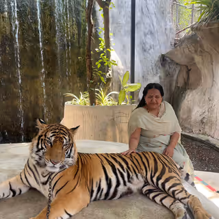 Thailand – Access The World