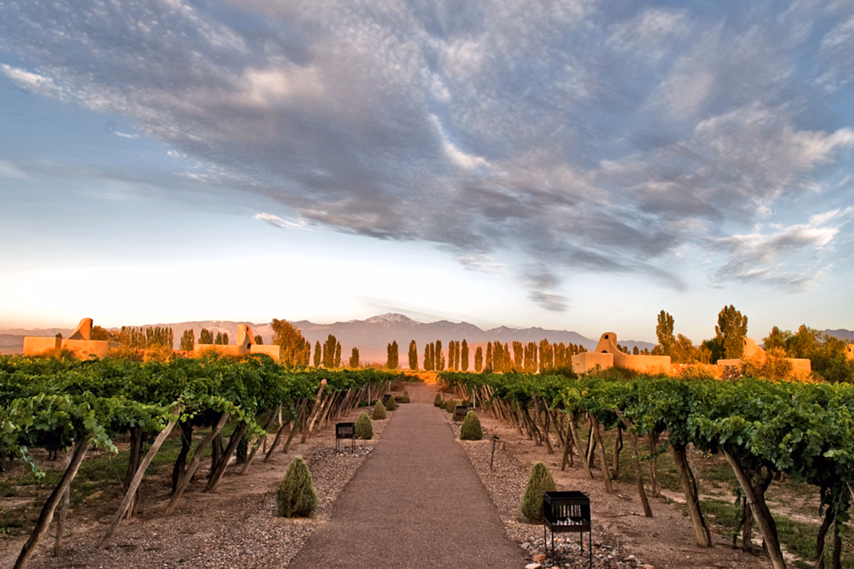Mendoza Wine Country