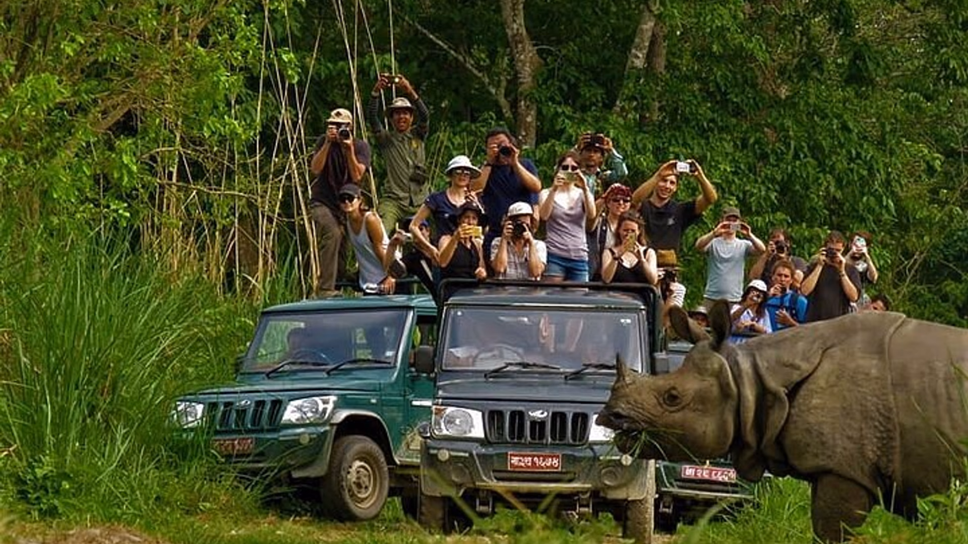 Chitwan Jungle Safari