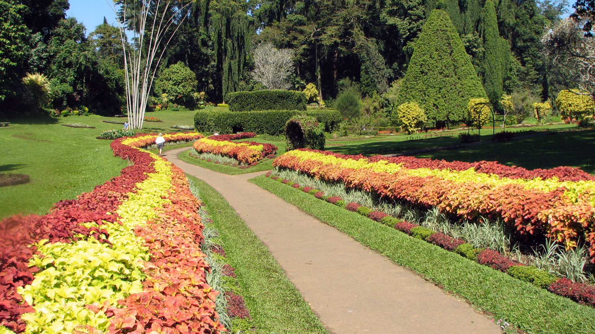 Royal Botanical Gardens, Peradeniya