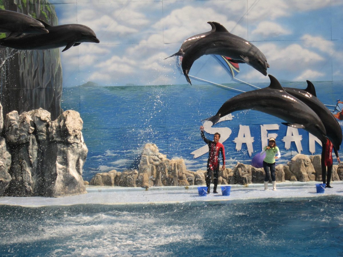 Safari World & Marine Park