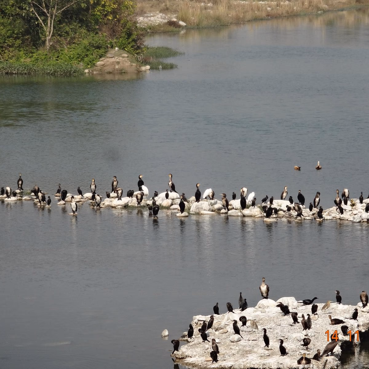 Ramganga Reservoir