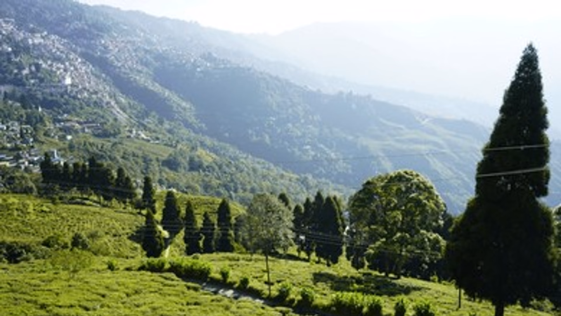 Sikkim & Darjeeling