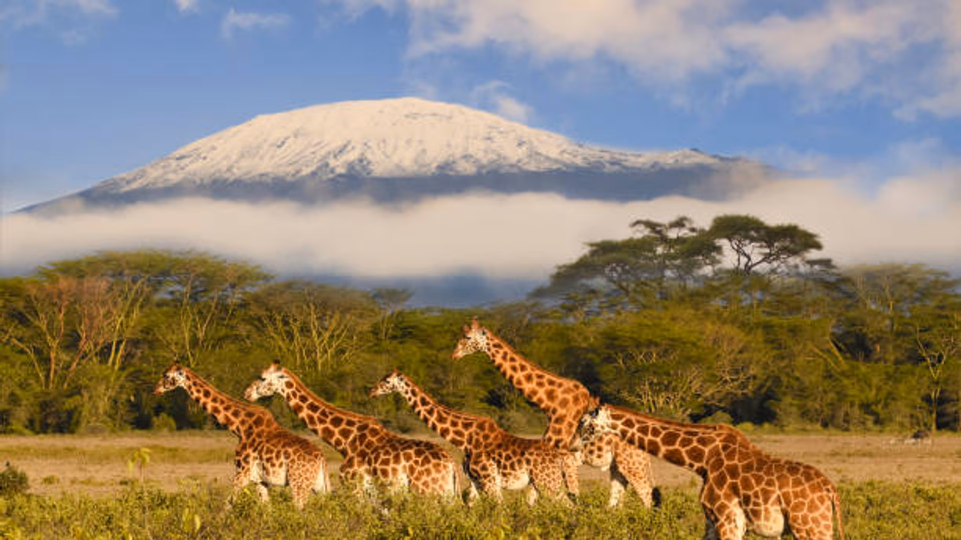 Kenya & Tanzania