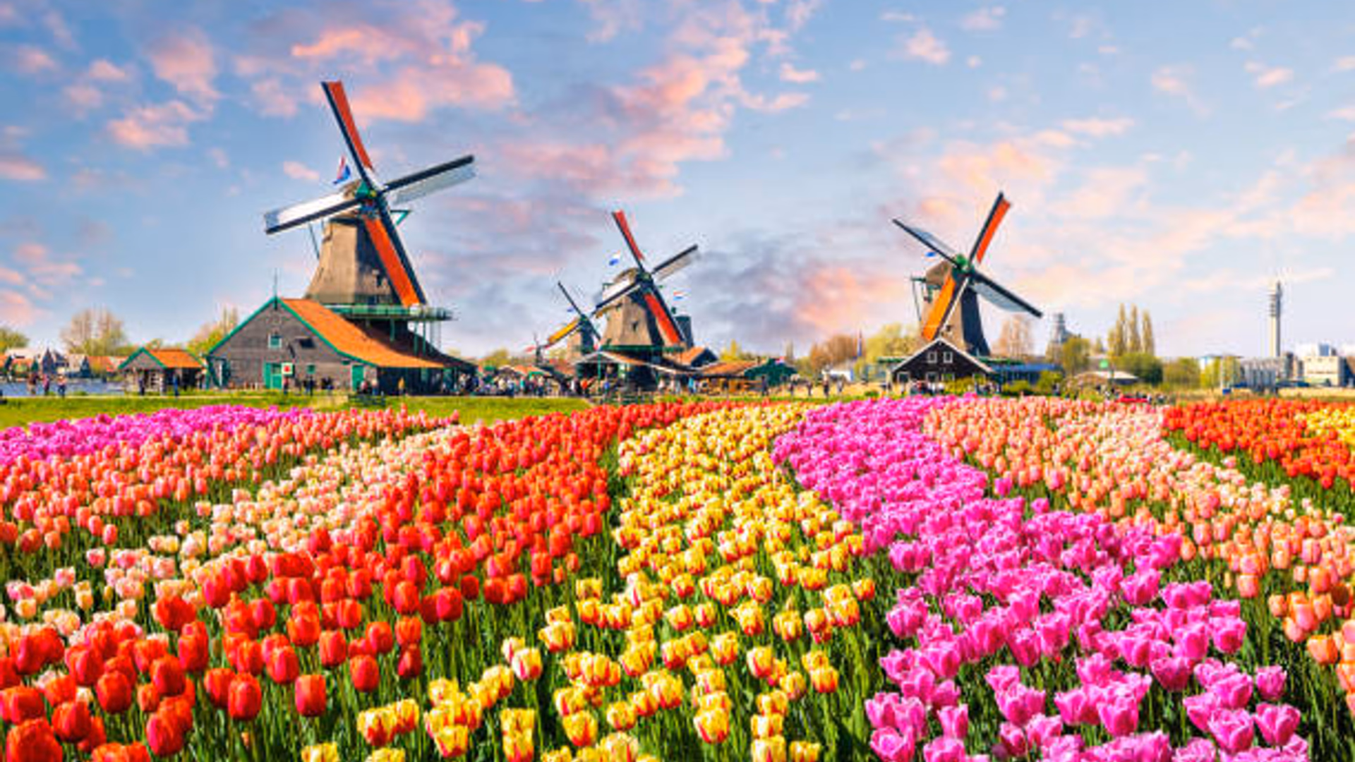 Netherlands