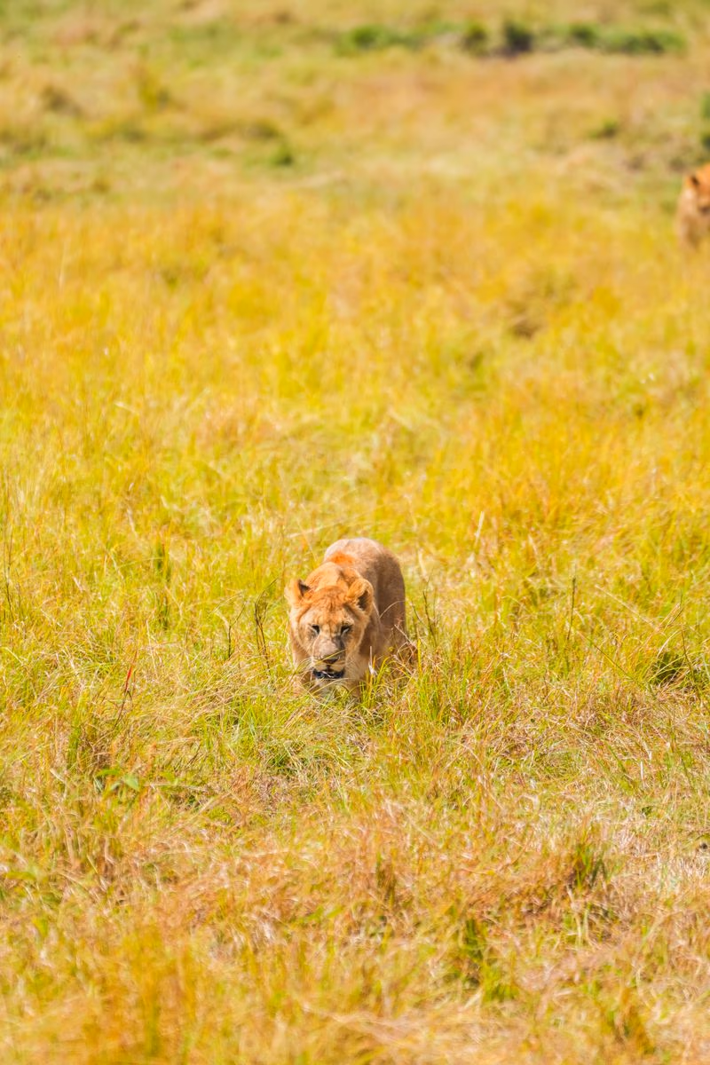 Kenya